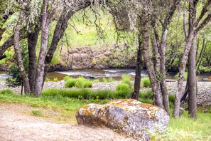 Property Views | Cosumnes River