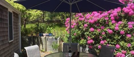 Welcome to the Rosa Rugosa Cottage! Patio with table, chairs, and gas grill  - 19 Old Cart Way -Chatham- Cape Cod -New England Vacation Rentals