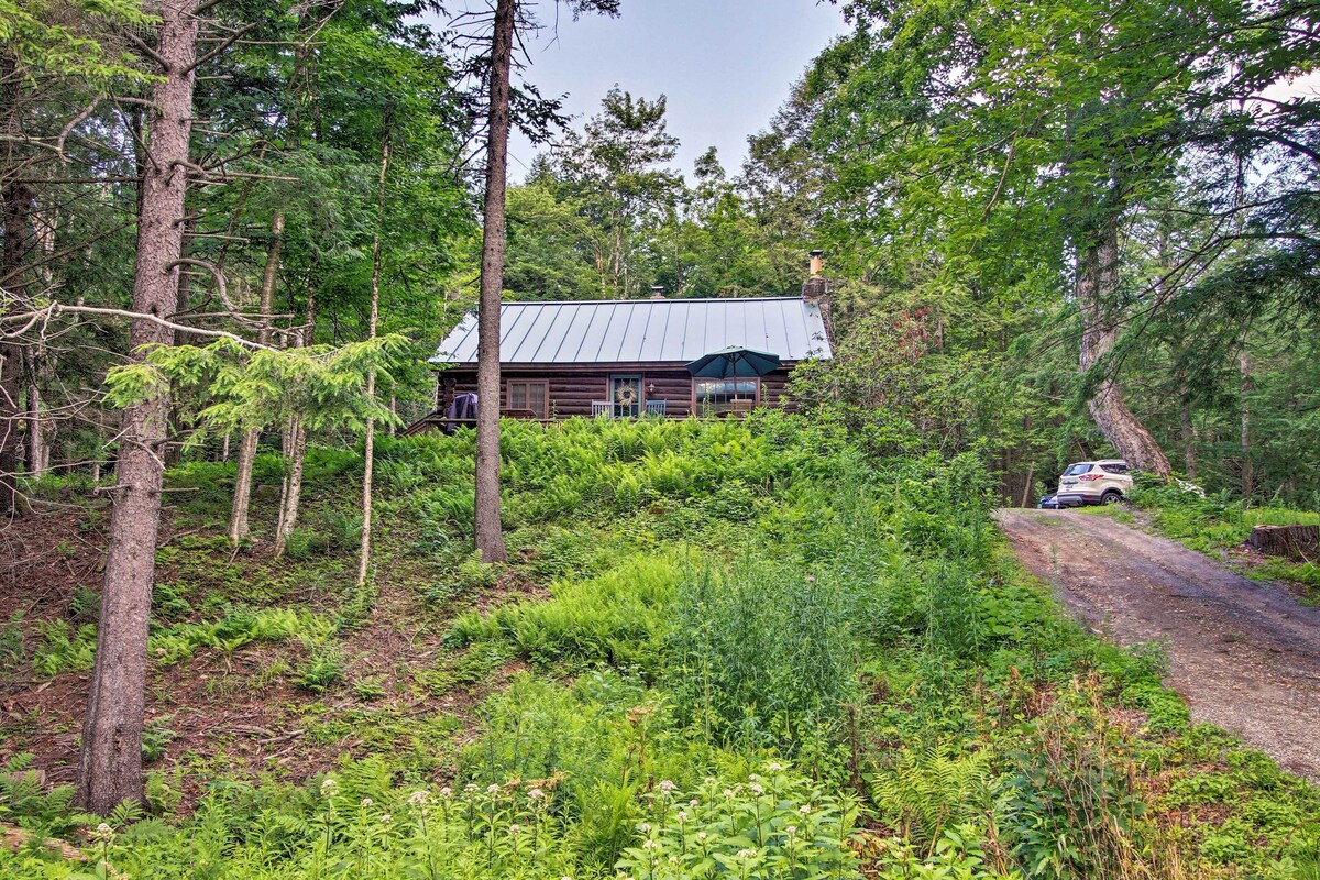 Main Image