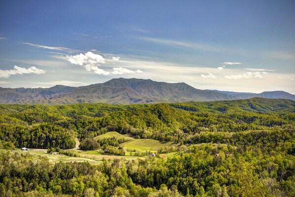 View from cabin