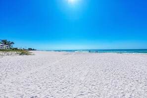 Anna Maria Island Beach Palms 6B