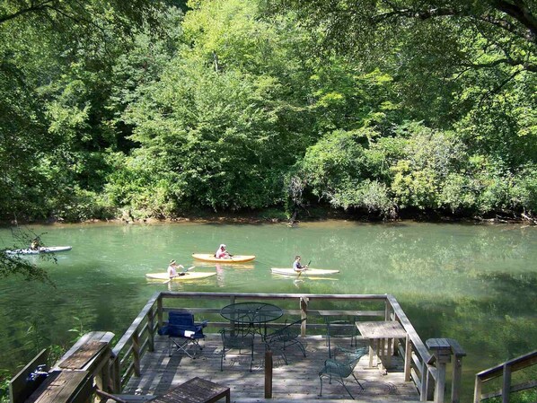 Toccoa FishTrap|Family Fun and Dog Friendly|Enchanted Mountain R