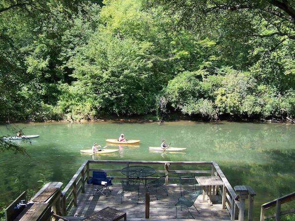 Toccoa FishTrap|Family Fun and Dog Friendly|Enchanted Mountain R