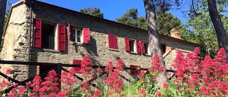 Esterno Rifugio