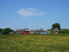 Vue de la maison de vacances [été]