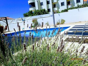 View towards private pool from garden