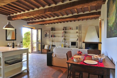 Beautiful apartment in San Gimignano - RoccaiaCasa'70