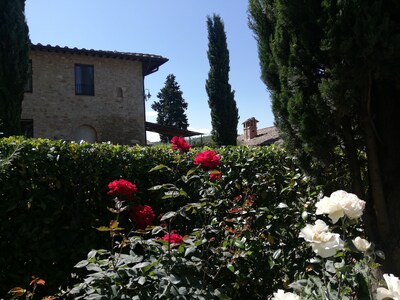 Beautiful apartment in San Gimignano - RoccaiaCasa'70