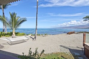 Ocean and Beach Views