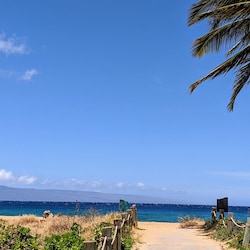 Step into paradise
