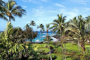 Manualoha 105 Views
