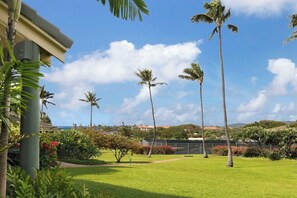 View - Manualoha 802