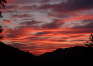 Oklassificerad bild, 4 av 34, knapp