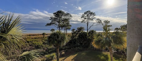 Vista da propriedade