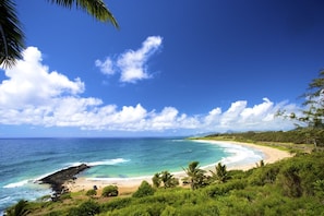 Endless views of the Pacific from the lawn