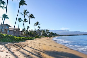 Sugar Beach~ Maui's longest sandy beach.  Walking, swimming and paddle boarding are just steps from your door.