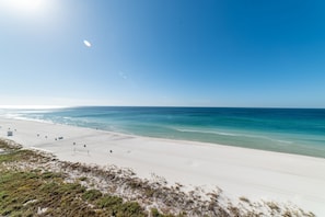 Yes! These really are the views from your condo!