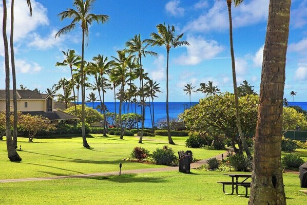 Ocean and Poipu Kai Greenbelt View - Kahala 613