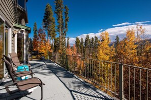 Main level deck with private gas grill