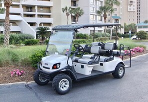 6 Seat Golf Cart