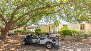 6 Seat Golf Cart Included