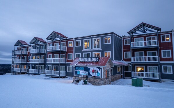 Ulkopuoli