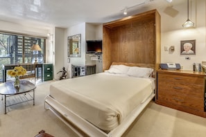 Living area with Murphy bed pulled down