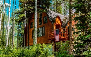 Front of cabin in Summer