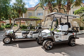 Includes Two Golf Carts