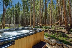 Backyard: Hot tub, gas grill, hammock, dining area, national forest view