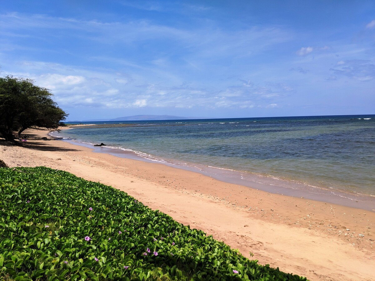 Maui Sunset 409B 1 bedroom, 2 bath with ocean views!