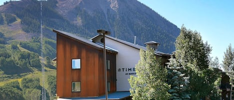 Timbers Complex