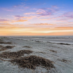 22 Sandhill Crane - Oceanfront Six Bedroom Home