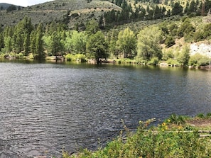 Fooses Lake - Stocked with 10" Rainbows. 10 minute walk.