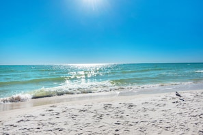 Beach at Shores of Panama