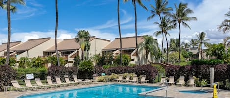 Complex Pool & Hot Tub