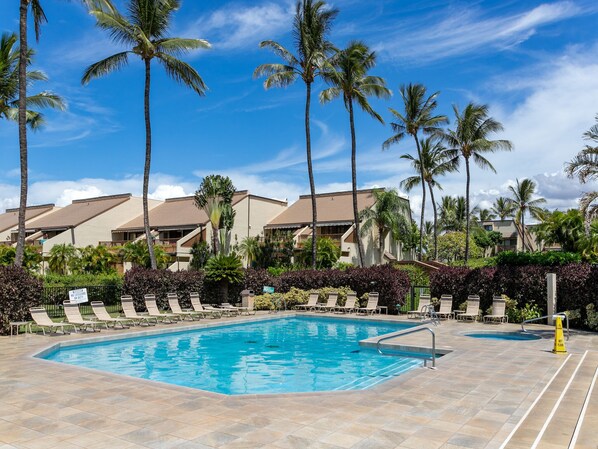Complex Pool & Hot Tub