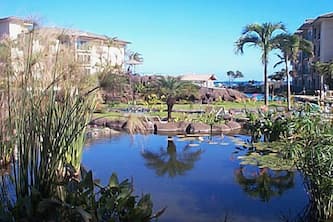 Experience the lush tropical & Garden Island of Kauai.