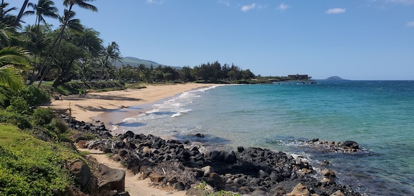 Kamaole Beach 2 Steps from Kihei Kai Nani