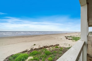 The golden sands stretching along the coastline