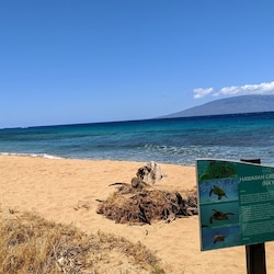 Excellent snorkeling steps from your condo
