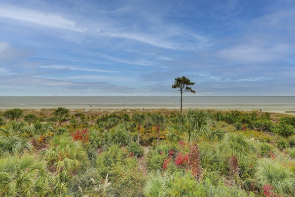 Strand