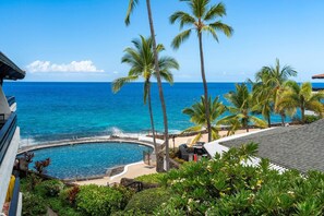 Beautiful Ocean View from Casa De Emdeko 315