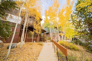 Walkway to Cabin in the Pines 4