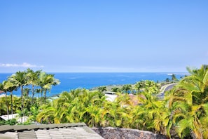 Ocean Views From the Home