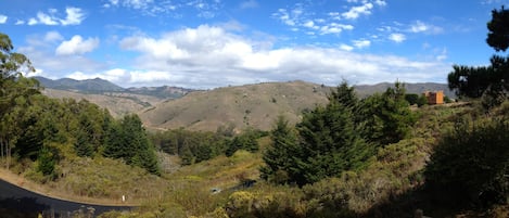 View of Mt. Tam and Heather Fields from the Deck.