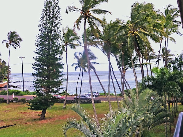 Lanai View