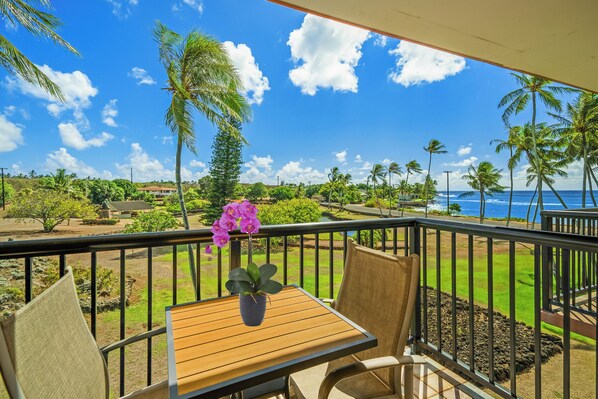 Lanai area