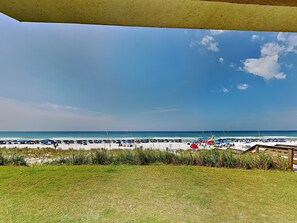 Patio View