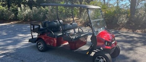 6 Seat Golf Cart
